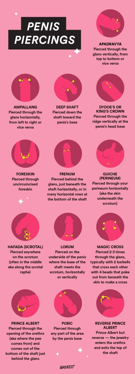 Penis Piercing: 13 Types, Sexual Benefits, Pain, Aftercare